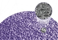 3M™ Cubitron™ 3 Fibre Disc 1182C